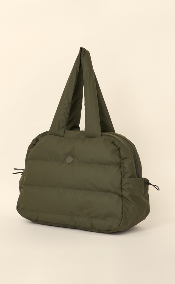 Conlectus Olive