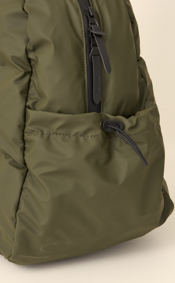 Conlectus Olive